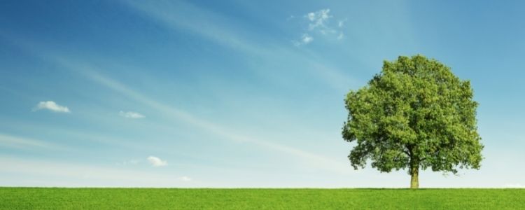 Portale fornitori Infrastrutture Spa